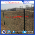 Anping Factory Euro Wire Mesh Fence